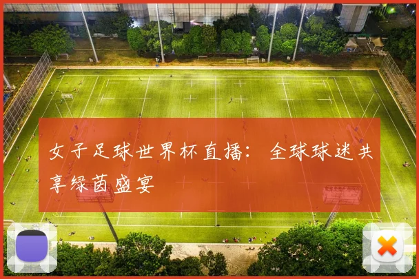 女子足球世界杯直播：全球球迷共享绿茵盛宴
