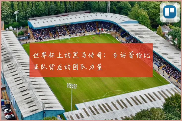 世界杯上的黑马传奇：专访哥伦比亚队背后的团队力量