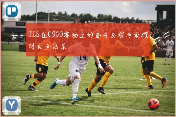 TES在CSGO赛场上的奋斗历程与荣耀时刻全记录