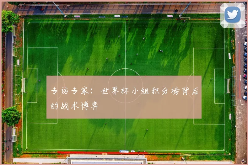 专访专家:世界杯小组积分榜背后的战术博弈