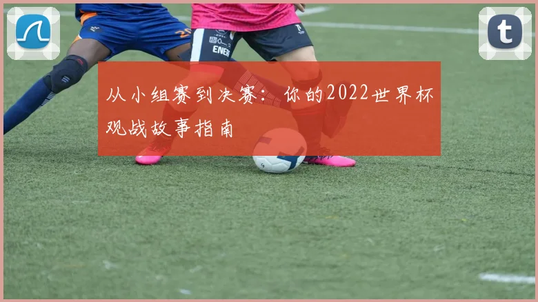 从小组赛到决赛：你的2022世界杯观战故事指南