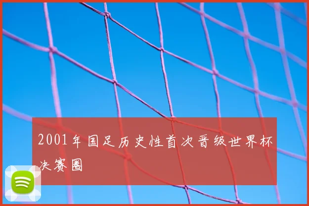 2001年国足历史性首次晋级世界杯决赛圈