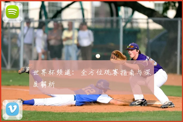 世界杯频道：全方位观赛指南与深度解析