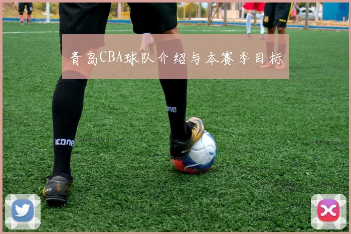青岛CBA球队介绍与本赛季目标