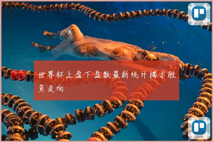 世界杯上盘下盘数最新统计揭示胜负走向