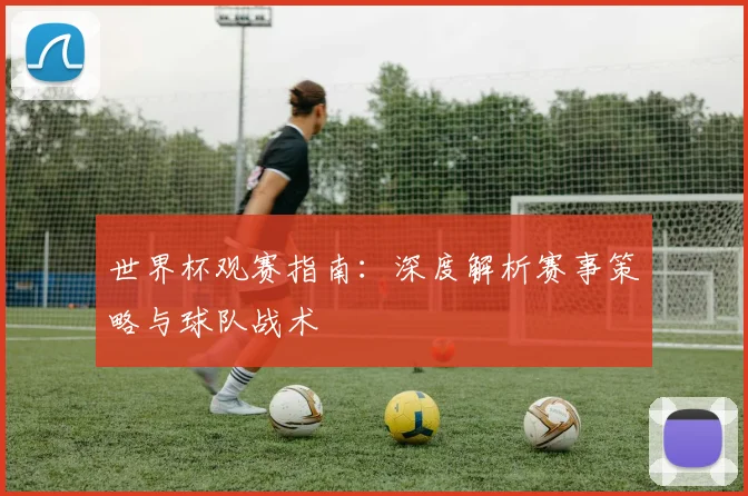 世界杯观赛指南：深度解析赛事策略与球队战术