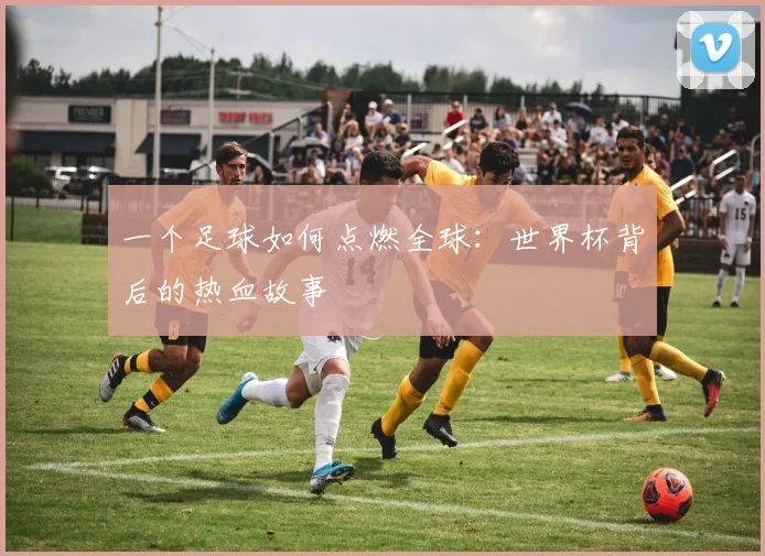 一个足球如何点燃全球：世界杯背后的热血故事
