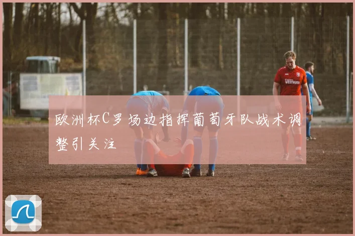 欧洲杯C罗场边指挥葡萄牙队战术调整引关注