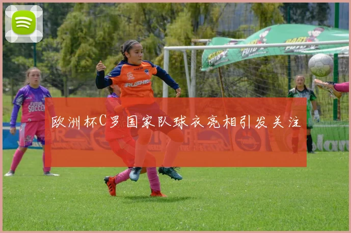 欧洲杯C罗国家队球衣亮相引发关注