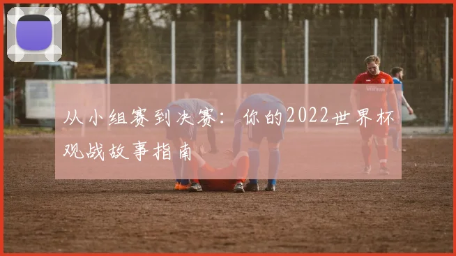 从小组赛到决赛：你的2022世界杯观战故事指南