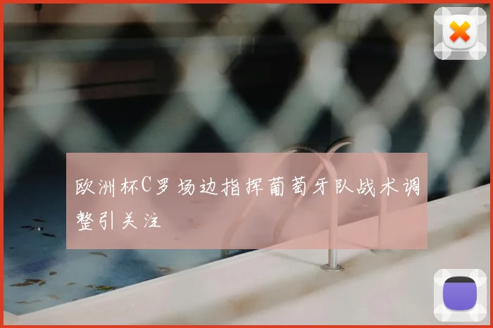 欧洲杯C罗场边指挥葡萄牙队战术调整引关注