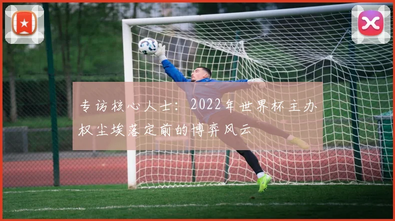 专访核心人士：2022年世界杯主办权尘埃落定前的博弈风云