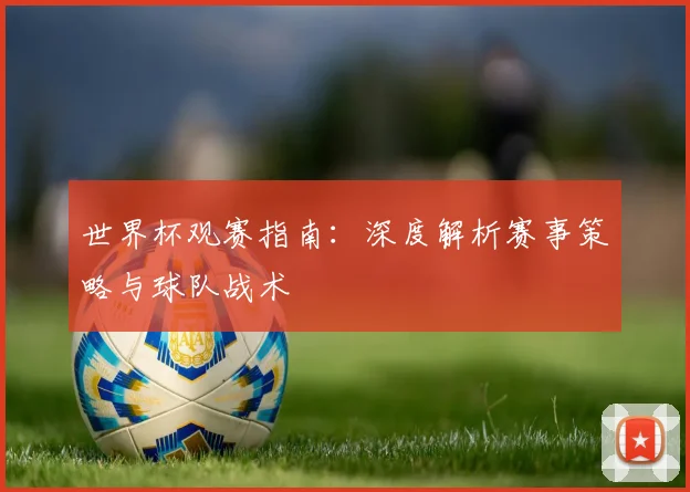世界杯观赛指南：深度解析赛事策略与球队战术