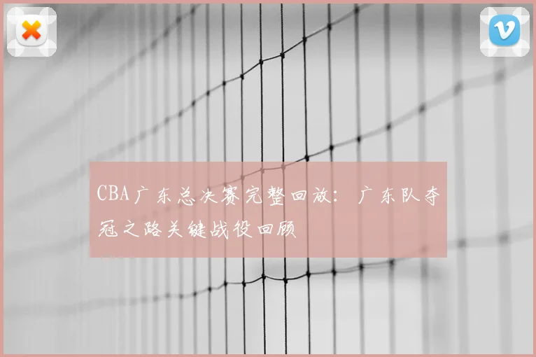 CBA广东总决赛完整回放:广东队夺冠之路关键战役回顾